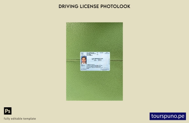 listo para imprimir plantilla frontal de aspecto fotográfico del permiso de c 26